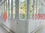 Immagine 11