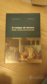 Il colpo di Stato. Media e diritto internazionale