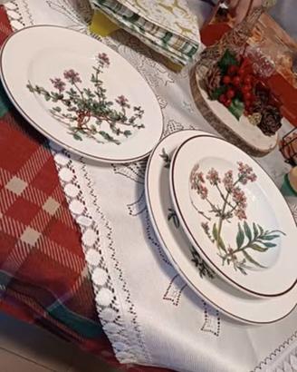 Servizio da tavola Villeroy & Boch Botanica 22 pz