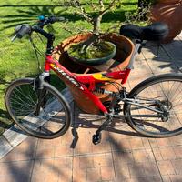 Bicicletta mountainbike uomo