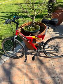 Bicicletta mountainbike uomo