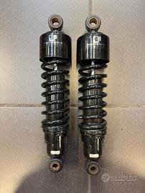 Ammortizzatori posteriori Progressive Suspension