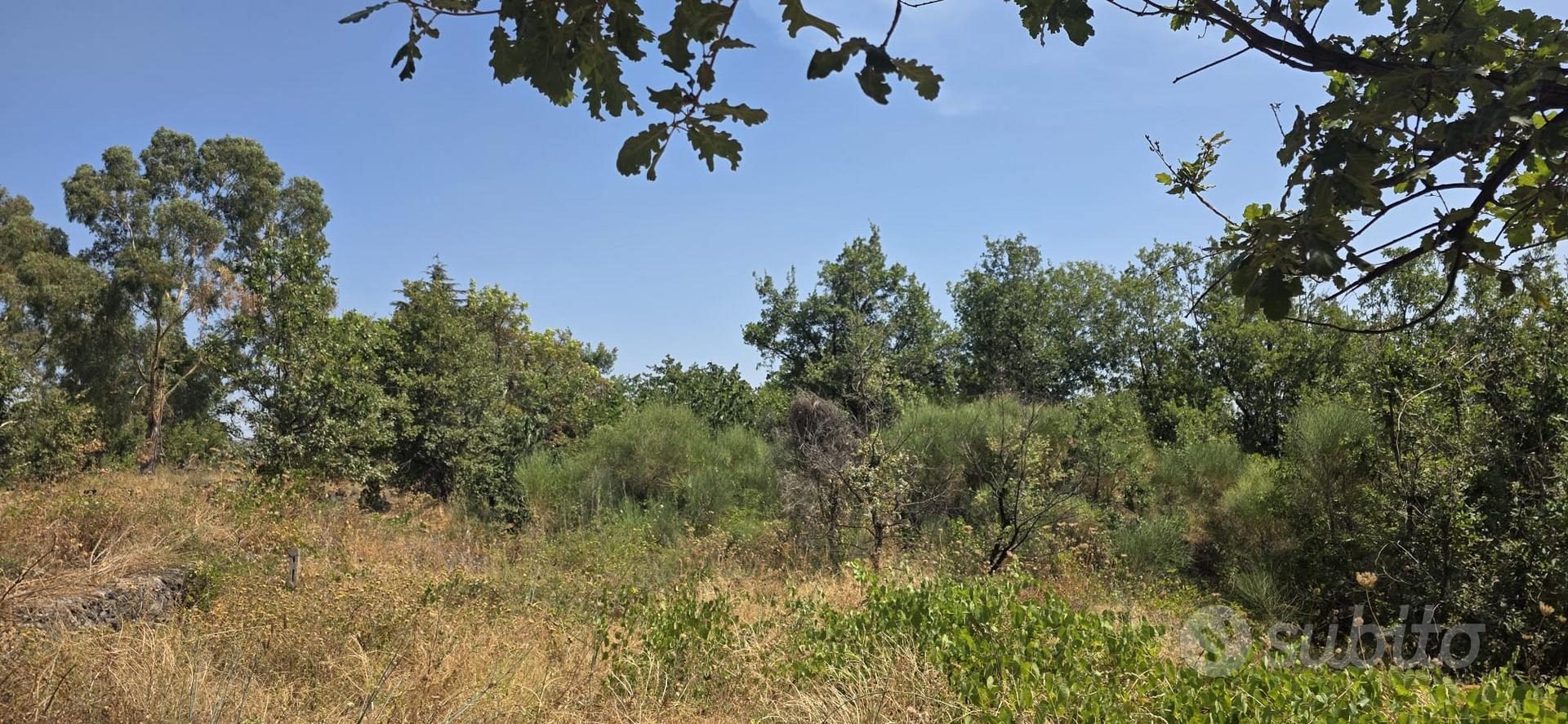 Piedimonte panoramico terreno agricolo mq. 23.387 - Vista 4