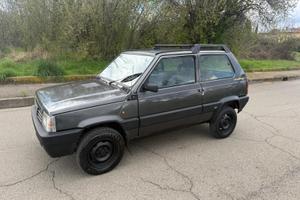 fiat panda 4x4 metano