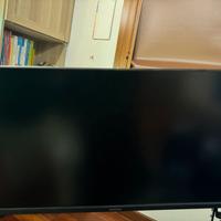 Monitor 24'