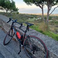 Bottecchia 