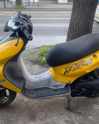 Scooter Honda 50 X8RS