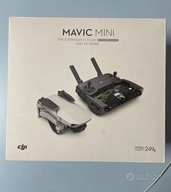 DJI Mavic Mini