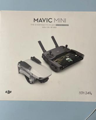 DJI Mavic Mini