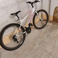 Bicicletta bianca e rosa