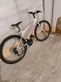 Bicicletta bianca e rosa