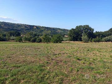 Terreno di 10873 m² a Lanciano