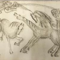 Disegno "Studio di Cavalli "