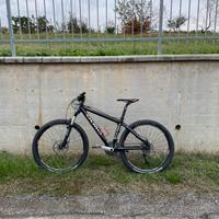 MTB Olmo in carbonio