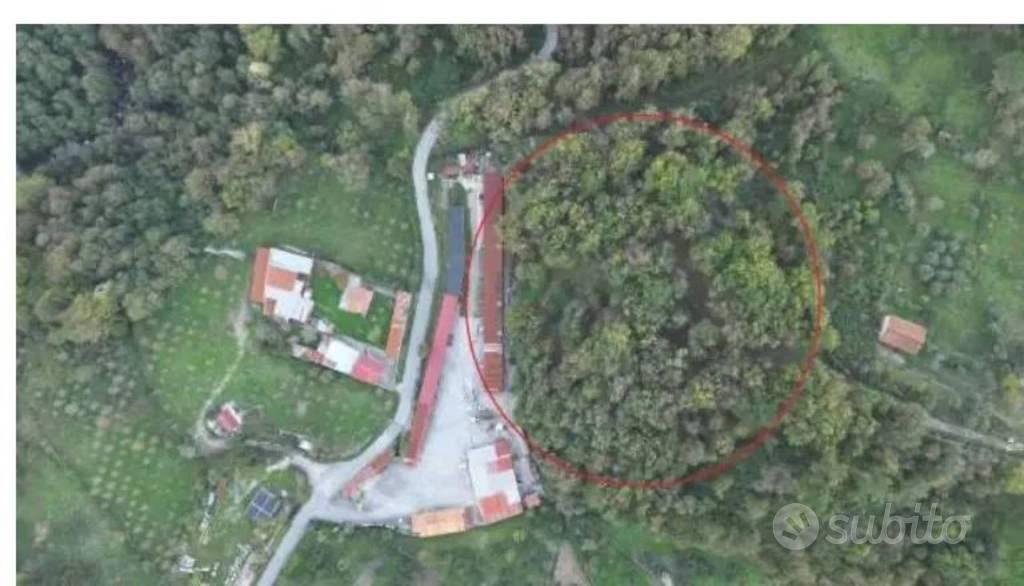 Immobile in asta di 11618 m² a Rivello - Vista 2
