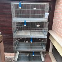 gabbie da 120,90,60 complete dii tutto