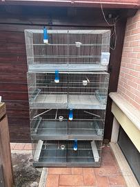 gabbie da 120,90,60 complete dii tutto