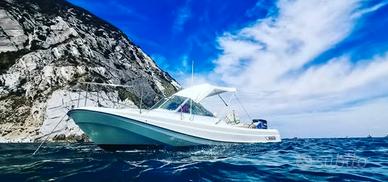 Boston Whaler 21 Revenge 