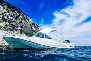 Boston Whaler 21 Revenge 