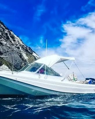 Boston Whaler 21 Revenge 