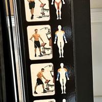 Palestra multifunzionale