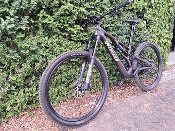 MTB Stumpjumper EVO Comp Carbon 2024