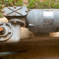 Motoriduttore parvalux volt 220