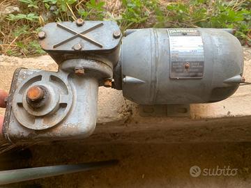 Motoriduttore parvalux volt 220