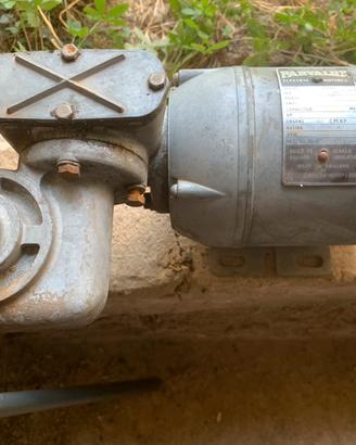 Motoriduttore parvalux volt 220