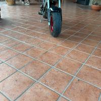 Minimoto Polini