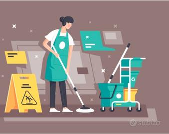 Pulizie Privati è Aziende