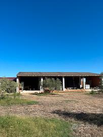 Grezzo Casa con terreno piantumato