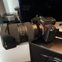 Sony A7RV + Tamron 35  150  f2