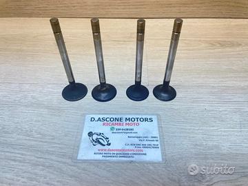 Valvole ducati monster