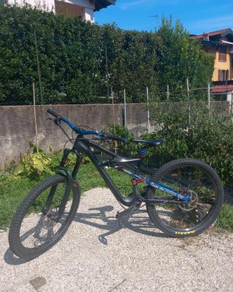 specialized enduro expert carbon