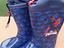 Immagine 1