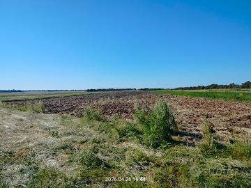 Brindisi TERRENO AGRICOLO di 3 ettari con POZZO