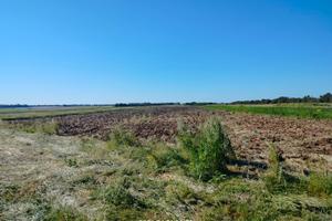 Brindisi TERRENO AGRICOLO di 3 ettari con POZZO