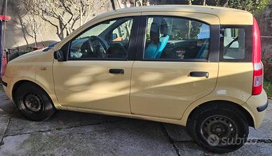 Panda seconda seria gialla