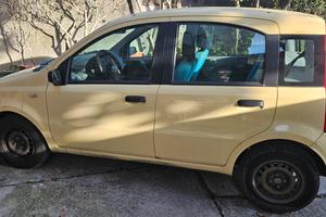 Panda seconda seria gialla