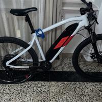 Bici elettrica