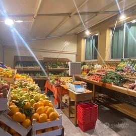 NEGOZIO AVVIATO A LAIGUEGLIA FRUTTA E VERD