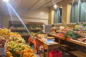 NEGOZIO AVVIATO A LAIGUEGLIA FRUTTA E VERD