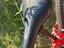 Immagine 6