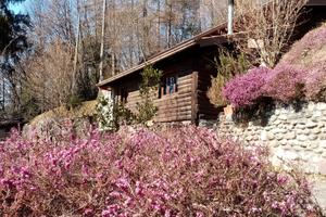 Chalet e terreno