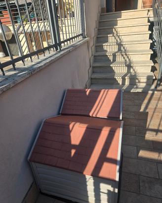 cuccia in resina per cani taglia media
