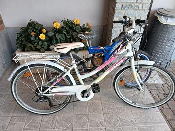 Atala Alice/ Olmo Shark