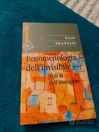 Libro "Fenomenologia dell'invisibile"