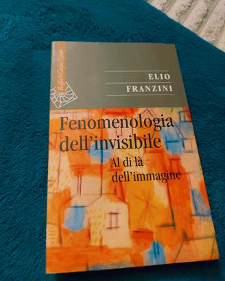 Libro "Fenomenologia dell'invisibile"