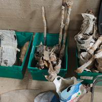 volvo amazon 121 122 123 ricambi usati 